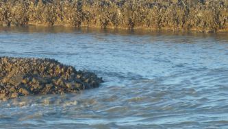 langeoog, urlaub, ebbe, flut, wattenmeer