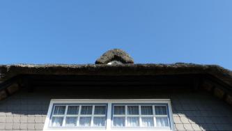 langeoog, urlaub, sehenswürdigkeiten